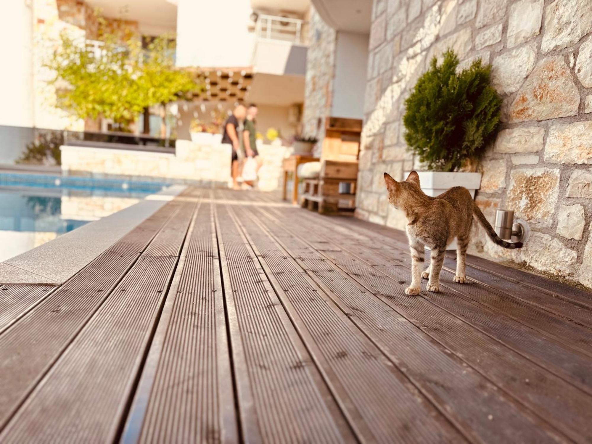 Villa Merkuri Himare Eksteriør bilde